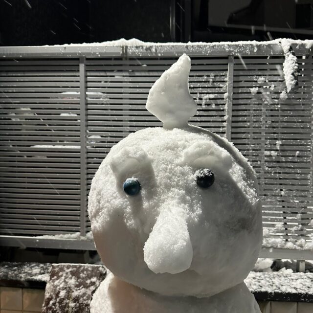 ゆ、雪だるま？⛄