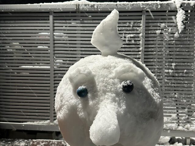 ゆ、雪だるま？⛄